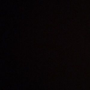 Meet your Posher, Martha